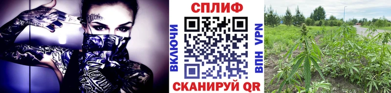 МЕГА как зайти  Глазов  Конопля индика 